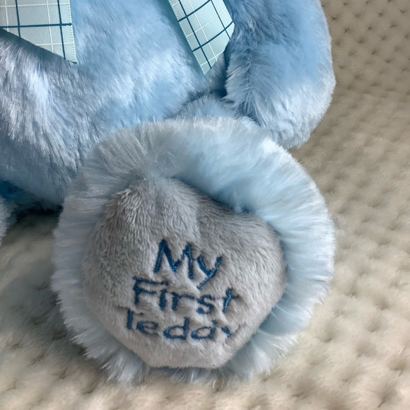 BABY GANZ My First Teddy Plush Blue Bear Stuffed Animal Toy Embroidered Eyes - Picture 5 of 13